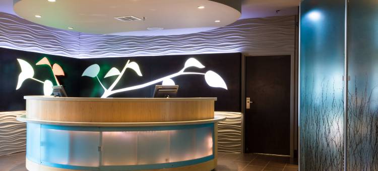 夸克敦万豪SpringHill酒店(SpringHill Suites Quakertown)图片