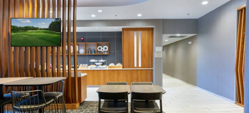 查特努加南-林戈尔德万豪SpringHill Suites酒店(SpringHill Suites Chattanooga South/Ringgold, GA)图片