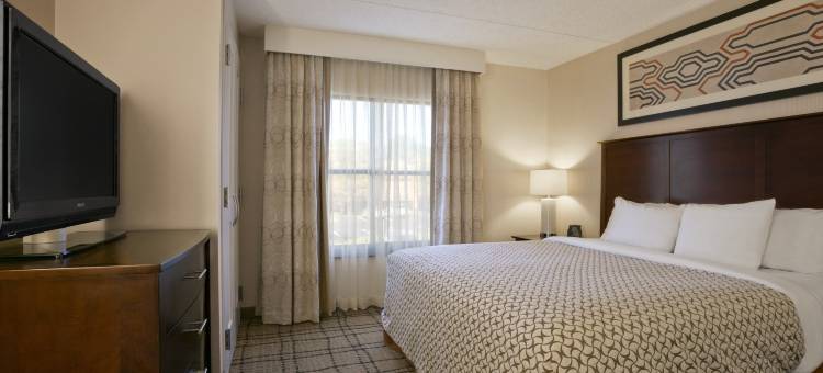 克利夫兰比奇伍德希尔顿安泊酒店(Embassy Suites by Hilton Cleveland Beachwood)图片