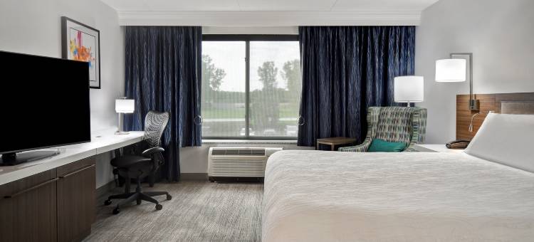 底特律地铁机场希尔顿花园客栈酒店(Hilton Garden Inn Detroit Metro Airport)图片