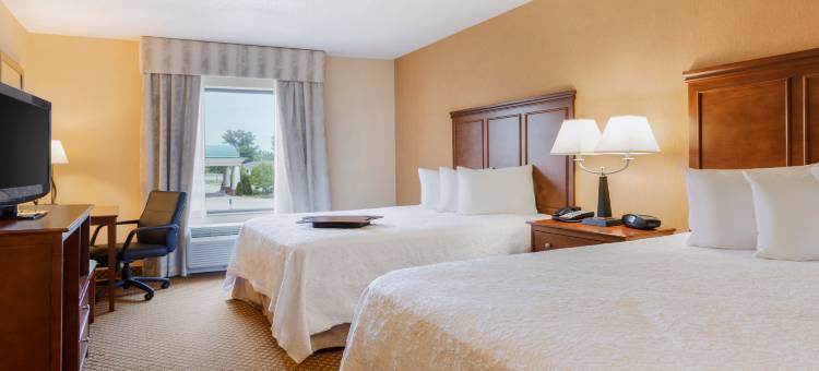 底特律-切斯特菲尔德乡村希尔顿欢朋酒店及套房(Hampton Inn & Suites Detroit/Chesterfield Township)图片