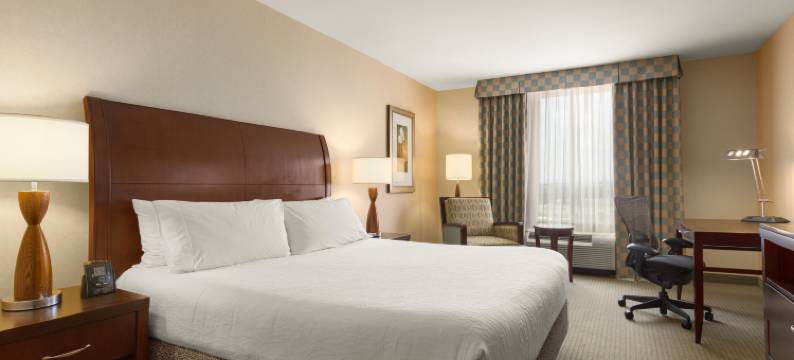 北杜勒斯希尔顿花园酒店(Hilton Garden Inn Dulles North)图片
