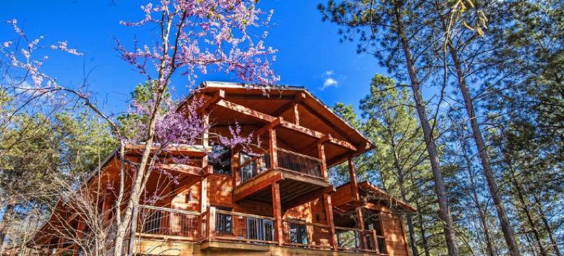 Ridge View, Hot Tub & Jacuzzi Tub, Steam Spa, Wood Outdoor Fireplace, Sleeps 6图片