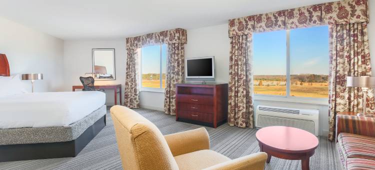 罗阿诺克拉皮兹希尔顿花园酒店(Hilton Garden Inn Roanoke Rapids)图片