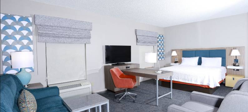 坦帕韦斯利查普尔欢朋套房酒店(Hampton Inn & Suites Tampa-Wesley Chapel)图片