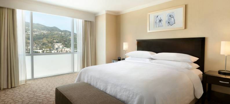 洛杉矶格伦代尔希尔顿安泊酒店(Embassy Suites by Hilton Los Angeles Glendale)图片