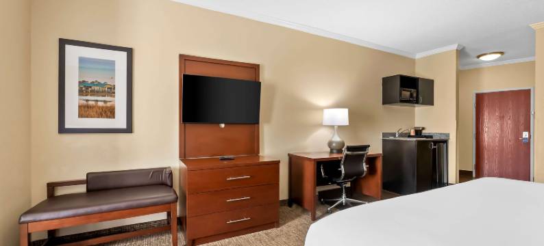 巴拿马城舒适套房酒店-近廷德尔空军基地(Comfort Suites Panama City Near Tyndall AFB)图片