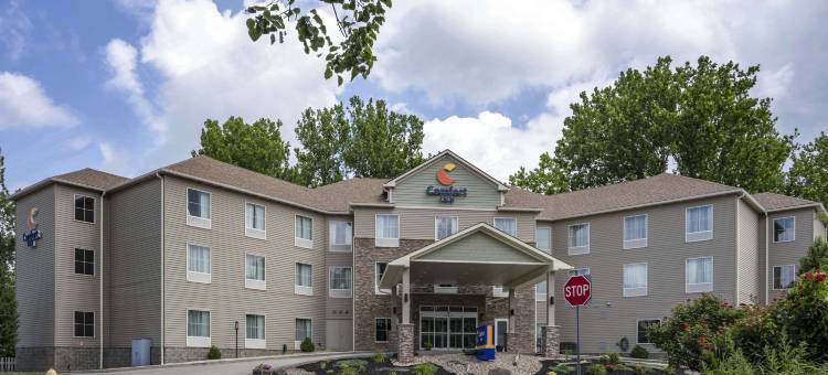 舒适酒店(Comfort Inn)图片