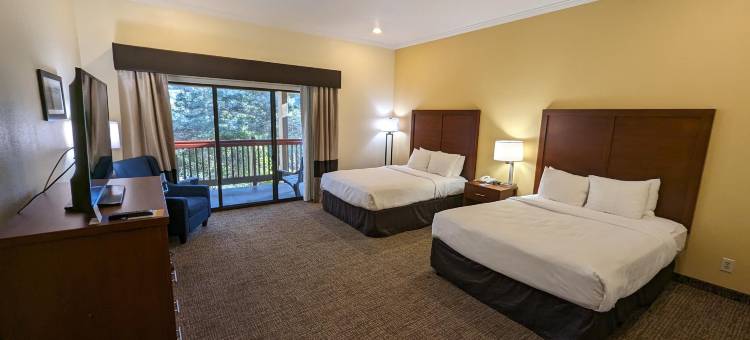 蒙特雷半岛机场舒适酒店(Comfort Inn Monterey Peninsula Airport)图片