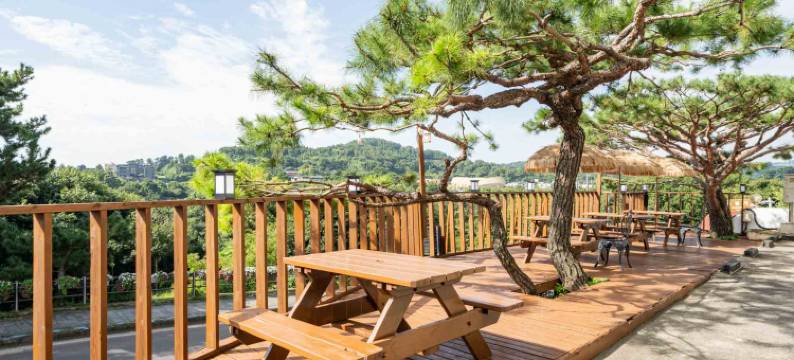 济州岛桔子酒店(Orange Hotel)图片