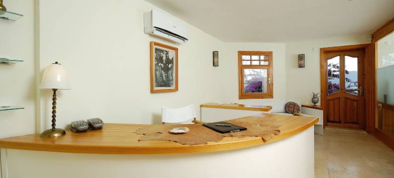 赖西亚酒店(Lycia Hotel)图片