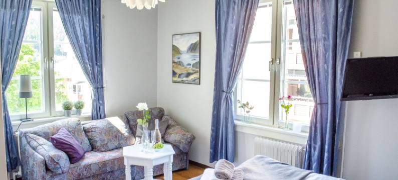 公园酒店(Park Hotell)图片