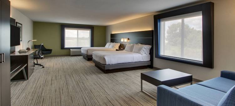 智选假日套房酒店莫里斯(Holiday Inn Express & Suites Morris)图片