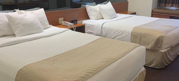 温德姆赖斯湖畔麦客达酒店(Microtel Inn & Suites by Wyndham Rice Lake)图片