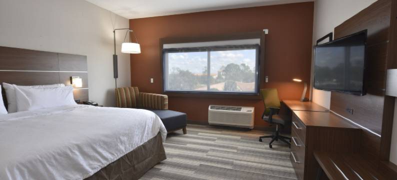 奥兰多东南洲际智选假日套房酒店(Holiday Inn Express & Suites ORLANDO SOUTHEAST by IHG)图片