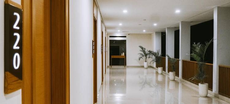 纸草热带酒店(Papyrus Tropical Hotel)图片