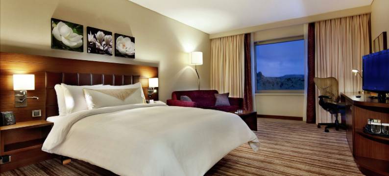 希尔顿花园马丁酒店(Hilton Garden Inn Mardin)图片