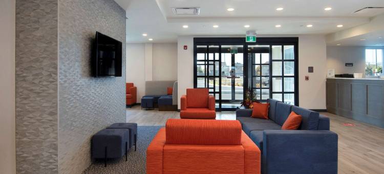 舒适套房酒店(Comfort Inn & Suites)图片