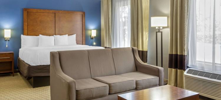 加纳克莱顿I-40舒适酒店(Comfort Inn Garner Clayton I-40)图片