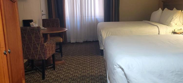 秀拉酒店(Hotel Xola)图片