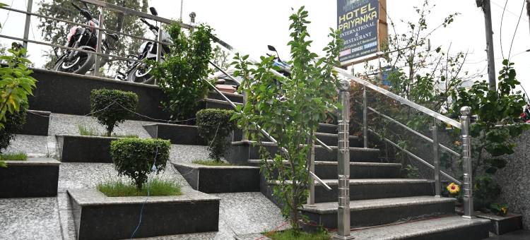 Priyanka国际酒店(Hotel Priyanka International)图片