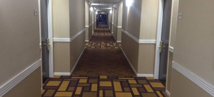 休斯顿西北赛菲尔凯艺套房酒店(Quality Suites Houston NW Cy-Fair)图片