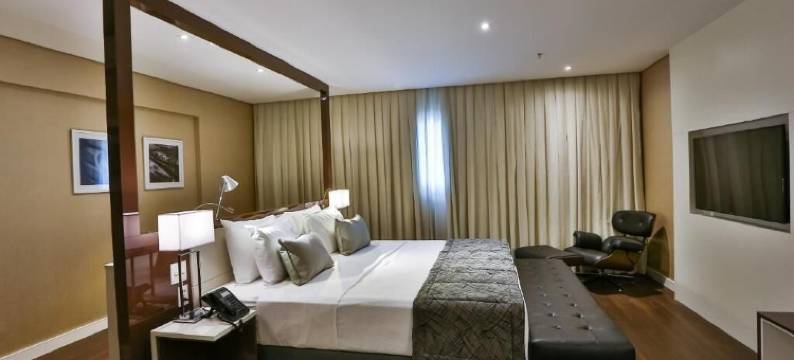 凯艺酒店-戈亚尼亚(Quality Hotel Flamboyant)图片