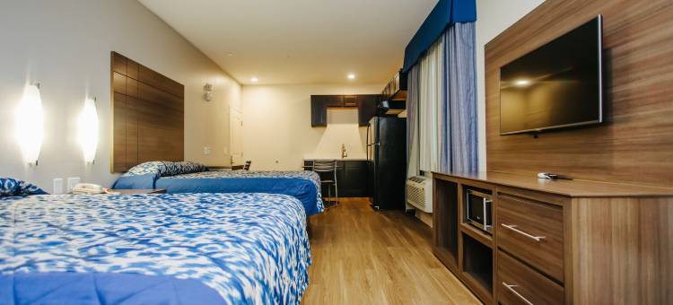 蓝城中心宫殿旅馆(Palace Inn Blue City Centre)图片