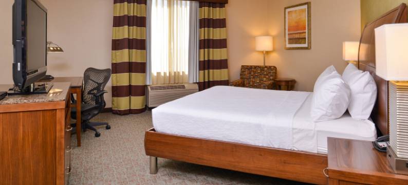 博伊西谱希尔顿花园酒店(Hilton Garden Inn Boise Spectrum)图片