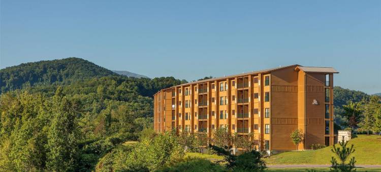 Hilton Vacation Club MountainLoft Gatlinburg图片