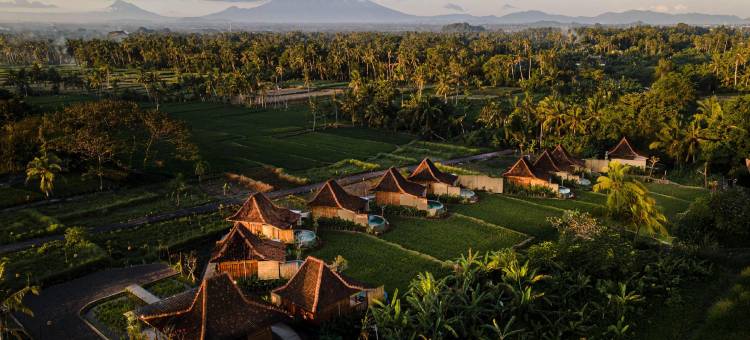 乌布 DITUJU(DITUJU Ubud by GenuineHost)图片