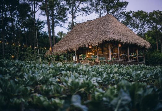 Blancaneaux Lodge by Francis Ford Coppola Hotel Overview