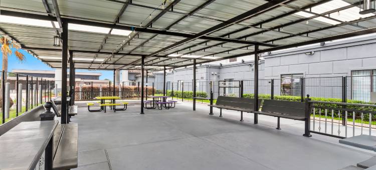 希尔顿休斯顿霍比机场Spark酒店(Spark by Hilton Houston Hobby Airport)图片