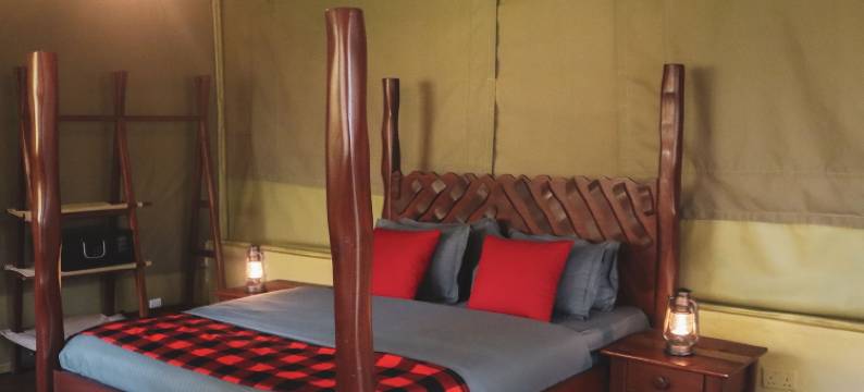 醉象马拉野生动物园(Drunken Elephant Mara)图片