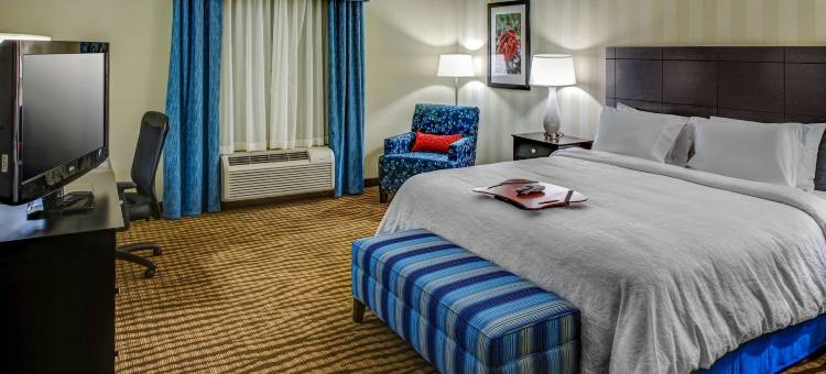 汤姆森欢朋酒店(Hampton Inn Thomson)图片