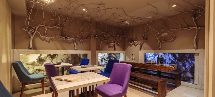 布兰克与布鲁精品遗产酒店 - 卡皮塔诺(Boutique Heritage Hotel Blanc & Bleu - Capitano)图片