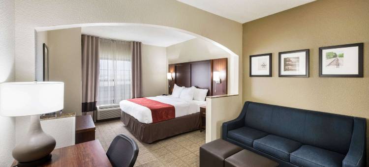 门罗舒适套房酒店(Comfort Suites Monroe)图片