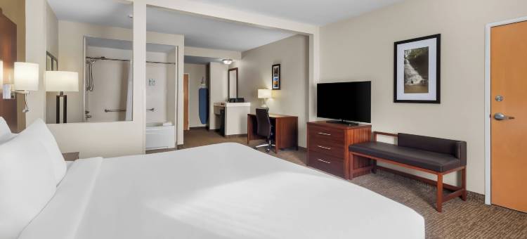 河闸商场舒适套房酒店(Comfort Suites at Rivergate Mall)图片