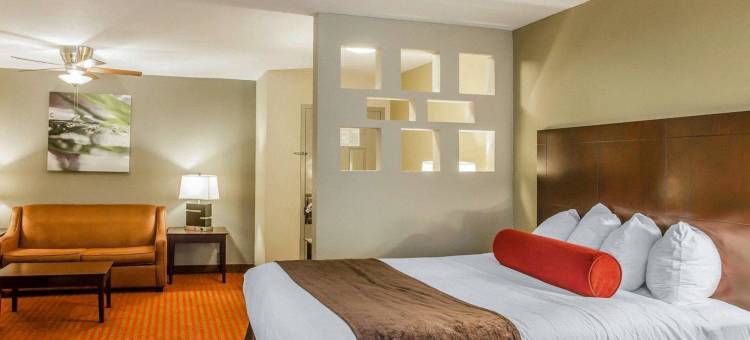 纳什维尔机场品质套房酒店(Quality Suites Nashville Airport)图片