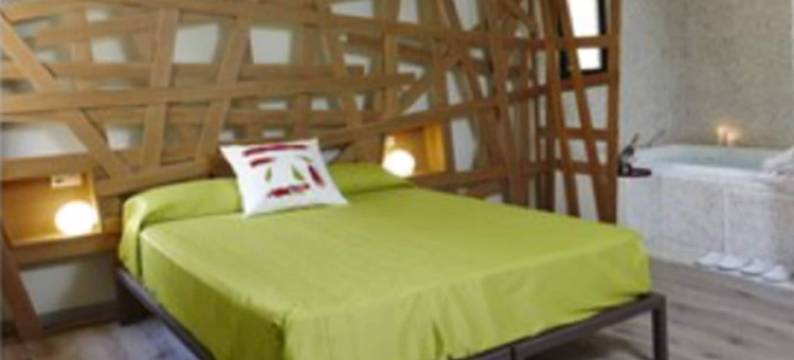 加莱里亚艾森提亚酒店(Hotel Galería Essentia)图片