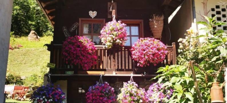 麦逊乐德克勒住宿加早餐旅馆(Maison Le Cler)图片