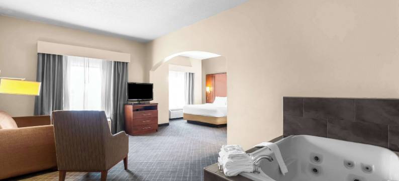 万塞讷舒适套房酒店(Comfort Suites)图片