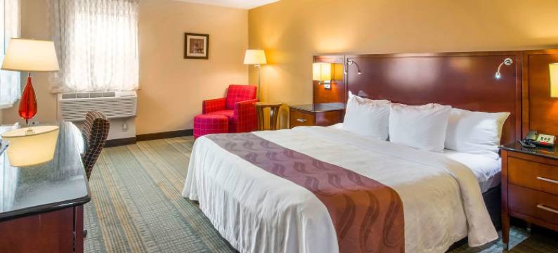 凯艺套房酒店(Quality Inn & Suites)图片