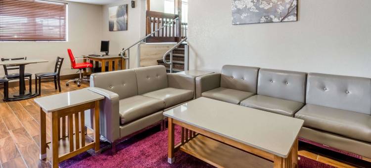 爱荷华市-科尔维尔速8酒店(Super 8 by Wyndham Iowa City/Coralville)图片