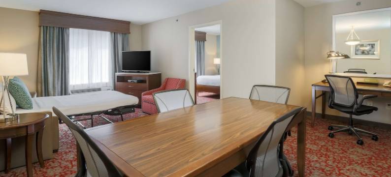 纳努特希尔顿花园酒店(Hilton Garden Inn Nanuet)图片