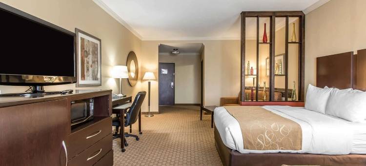 芙特席尔附近劳顿舒适全套房酒店(Comfort Suites Lawton Near Fort Sill)图片