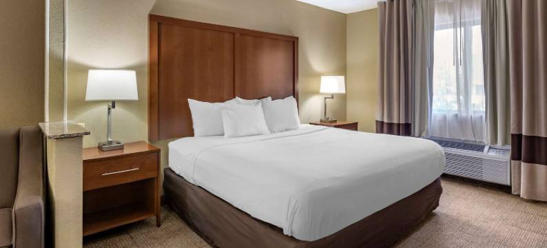 莫林-阔德城舒适酒店(Comfort Inn Moline - Quad Cities)图片