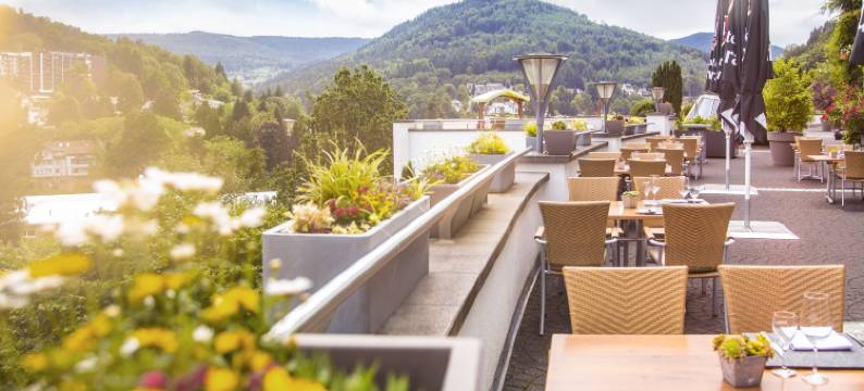 黑森林全景酒店(Schwarzwald Panorama)图片