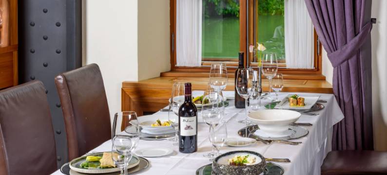 奇格勒奥托塞克酒店 - 罗莱夏朵(Hotel Grad Otočec - Relais Chateaux)图片