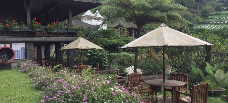 鲁马草莓有机农场及家庭旅馆(Rumah Stroberi Organic Farm and Lodge)图片